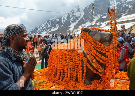 Rudarprayag, Uttarakhand, Inde, 03 mai 2014, dévot avec Nandi, Taureau sacré veau, véhicule du dieu hindou Shiva. Sculptures de Nandi sont un commun s. Banque D'Images