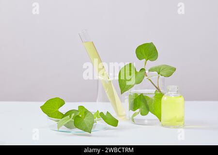 Sur le fond clair, des feuilles de menthe de poisson frais décorées avec de la verrerie de laboratoire remplie de liquide jaune. Espace pour présenter un produit cosmétique. Co. Naturelle Banque D'Images