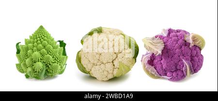 Choux-fleurs et brocoli roman isolés sur blanc Banque D'Images