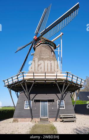 Le 19e siècle Vrouwbuurstermolen. C'est un moulin à farine au chaume à l'est du village de Vrouwenparochie en Frise aux pays-Bas. Banque D'Images