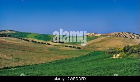 Bâtiments de ferme lointains, champs près de Cazorla, matin au début du printemps, Andalousie, province de Jaen, Espagne Banque D'Images