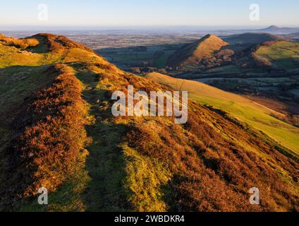 La vue au nord le long d'un rempart de la colline fort sur Caer Caradoc près de Church Stretton, Shropshire. Banque D'Images