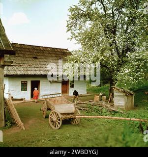 Comté de Vrancea, Roumanie, env. 1979. Un couple travaillant à l'extérieur sur leur propriété rurale. Banque D'Images