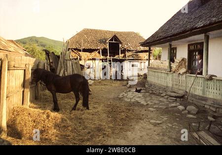 Comté de Vrancea, Roumanie, 1990. Une ferme rurale traditionnelle, avec une petite maison, une grande grange et une cour fermée. Banque D'Images