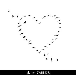 Coeur fait d'oiseaux. dessin à la main. Pas ai, illustration vectorielle Illustration de Vecteur
