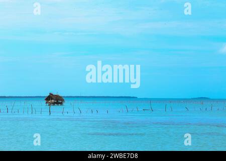 Une très belle scène de plage située dans la ville de Jaffna dans l'état nord du Sri Lanka Banque D'Images