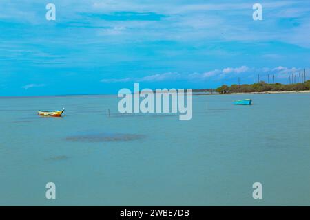 Une très belle scène de plage située dans la ville de Jaffna dans l'état nord du Sri Lanka Banque D'Images