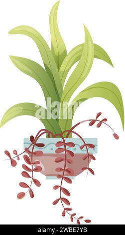 Plante d'intérieur poussant dans des pots. Belles décorations pour la maison, plantes isolées sur fond blanc. Illustration plate de dessin animé. Illustration de Vecteur