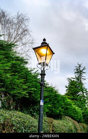 Lampadaire à l'ancienne à côté d'une haie éclairée par une lampe électrique pendant la journée. Banque D'Images