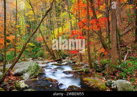 Smith Creek coulant des chutes Anna Ruby, Géorgie, États-Unis en automne. Banque D'Images