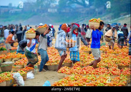 Sylhet-Bangladesh : 10 janvier 2024 des centaines de fermiers sont venus des régions reculées de l'upazila pour vendre des légumes cultivés par eux-mêmes dans des bateaux à Charbazar de la rivière Surma, près du marché de Kanighat upazila Kanighat. Pendant plus de 50 ans après la guerre d’indépendance du Bangladesh, les agriculteurs locaux vendent des légumes ici pendant les mois Paus, Magh et Phalguna de l’année civile bengali, et les commerçants de différents marchés de Sylhet achètent et vendent des légumes au prix de gros. La photo a été prise entre 6 h et 7:30 h le mercredi. Le marché est assis pendant 2/3 heures chaque da Banque D'Images