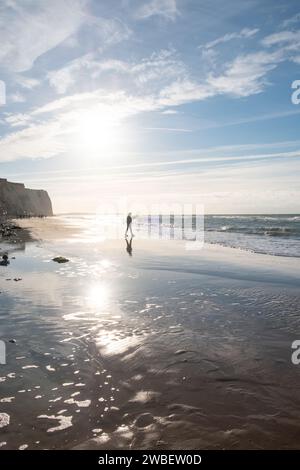 Cette photographie capture un personnage solitaire prenant une promenade paisible le long du rivage, baigné dans la lueur éthérée de la lumière du soleil côtier. Le soleil, suspendu bas dans le ciel, projette un brillant reflet sur le sable mouillé, imitant l'apparition d'un deuxième soleil embrassant la terre. Les falaises sur le côté sont hautes et stoïques, leurs ombres offrant un contraste frappant avec le rivage lumineux et réfléchissant. Cette image témoigne de la majesté tranquille de la nature et des moments de réflexion qu’elle offre à ceux qui cherchent du réconfort en sa présence. Promenade solitaire dans la luminescence côtière. Photo de haute qualité Banque D'Images