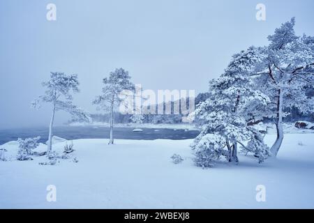 Une tempête hivernale pittoresque dans l'archipel finlandais en janvier Banque D'Images