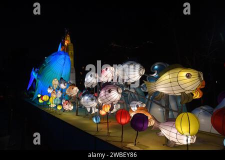 Shenyang, Chine. 10 janvier 2024. Les habitants regardent des lanternes au parc Bitang à Shenyang, en Chine, le 10 janvier 2024. (Photo Costfoto/NurPhoto) crédit : NurPhoto SRL/Alamy Live News Banque D'Images