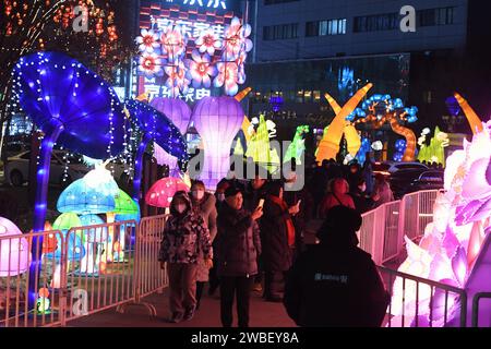 Shenyang, Chine. 10 janvier 2024. Les habitants regardent des lanternes au parc Bitang à Shenyang, en Chine, le 10 janvier 2024. (Photo Costfoto/NurPhoto) crédit : NurPhoto SRL/Alamy Live News Banque D'Images