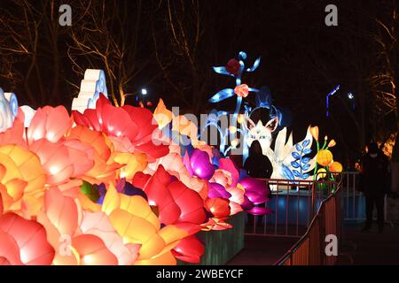 Shenyang, Chine. 10 janvier 2024. Les habitants regardent des lanternes au parc Bitang à Shenyang, en Chine, le 10 janvier 2024. (Photo Costfoto/NurPhoto) crédit : NurPhoto SRL/Alamy Live News Banque D'Images