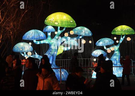 Shenyang, Chine. 10 janvier 2024. Les habitants regardent des lanternes au parc Bitang à Shenyang, en Chine, le 10 janvier 2024. (Photo Costfoto/NurPhoto) crédit : NurPhoto SRL/Alamy Live News Banque D'Images