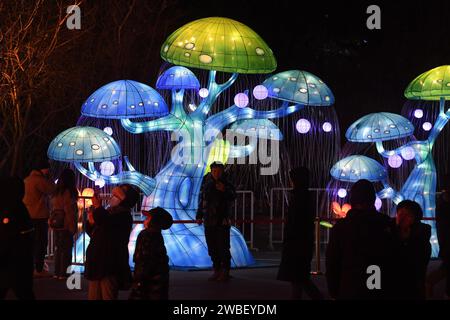 Shenyang, Chine. 10 janvier 2024. Les habitants regardent des lanternes au parc Bitang à Shenyang, en Chine, le 10 janvier 2024. (Photo Costfoto/NurPhoto) crédit : NurPhoto SRL/Alamy Live News Banque D'Images