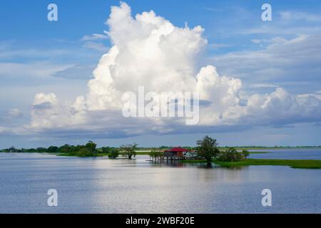 Maisons en bois sur pilotis dans la lagune d'Itapicuru, État de Para, Brésil Banque D'Images