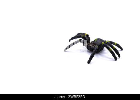 A black plastic spider on isolated background, Top view of a plastic spider on white background Stock Photo