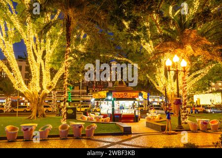 Madeira Funchal Madeira Promenade Street café et arbres décorés avec des lumières de fée à Noël Funchal Madeira Portugal UE Europe Banque D'Images