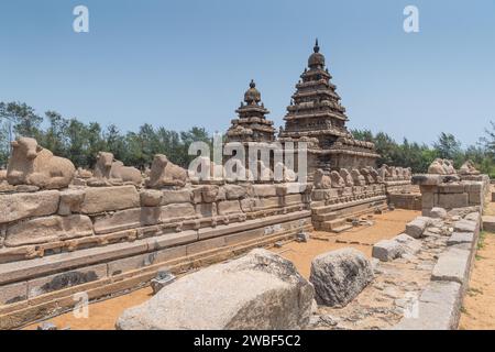 Temple de Nandi dédié à Shiva, site du patrimoine mondial de l'UNESCO, Mahabalipuram ou Mamallapuram, Tamil Nadu, Inde Banque D'Images