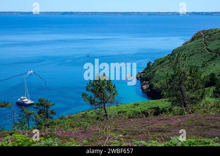 Anse St. Baie de Nicolas au Cap de la Chevre, landes dans la baie de Douarnenez, presqu'île de Crozon, département du Finistère, région Bretagne, France Banque D'Images