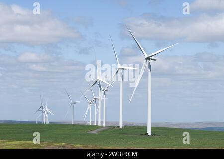 Rangée de grandes éoliennes dans le parc éolien industriel le jour ensoleillé Banque D'Images