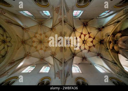 Basilique St Castor, plafond voûté, Coblenz, Rhénanie-Palatinat, Allemagne Banque D'Images