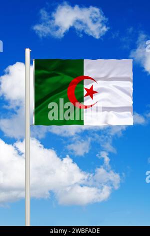 The flag of Algeria. Algeria is a country in North Africa, a large part of the country consists of the Sahara. The capital is Algiers. The currency Stock Photo
