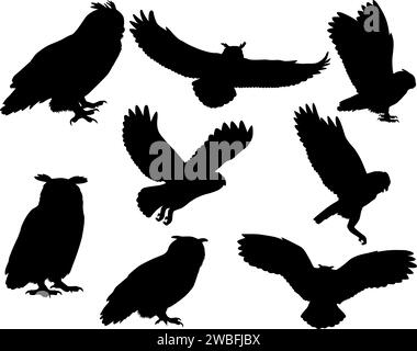Collection de silhouettes de hiboux et d'oiseaux aigle-hiboux Illustration de Vecteur