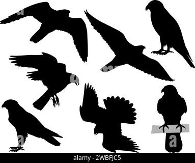 Collection de silhouettes de faucon pèlerin ou d'oiseaux pèlerins Illustration de Vecteur