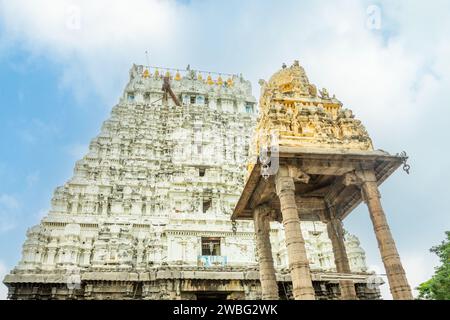 Thiru Parameswara Vinnagaram temple statues d'idole antiques décoration, Kanchipuram, région de Tondaimandalam, Tamil Nadu, Inde du Sud Banque D'Images