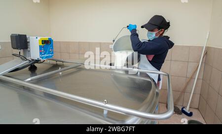 Chambitola, Cayambe / Équateur - novembre 1 2023 : Femme indigène déchargeant du lait fraîchement trayé dans un réservoir métallique Banque D'Images