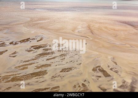 Vue aérienne de l'ours grizzley, Ursus arctos horribilis, se nourrissant au milieu des motifs abstraits d'un delta de rivière tressé Banque D'Images
