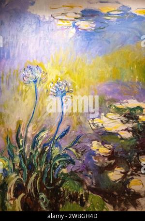 Peinture 'l'Agapanthus' ou 'le lys du Nil' de Claude Monet de 1914 à 1917 Banque D'Images