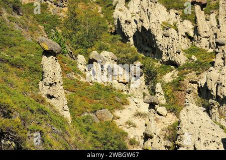 Formations rocheuses insolites de grès et d'argile sur la pente d'une haute montagne sous un ciel chaud d'été. Champignons de pierre, Altaï, Sibérie, Russie. Banque D'Images