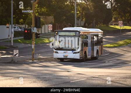 Le bus Volvo B8RLE, exploité par CDC Melbourne, attend aux feux de circulation à l'intersection de North Rd et Hawthorn Rd, sur son chemin vers Chadstone Banque D'Images