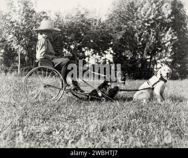 Une vieille photographie d'un garçon dans un buggy ou un chariot tiré par deux chiens à Maple Grove Farm, Rosser, Manitoba, Canada au début du 20e siècle. Dans le domaine rural, ils se reposent sous le soleil d'été. Assis sur son moyen de transport inhabituel, le garçon porte une culotte et un chapeau de paille. Ceci est tiré d'un album de photos de début. Banque D'Images