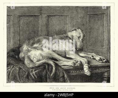 Illustration vintage de chien triste avec un bandage sur sa patte blessée, art animal victorien, anglais, années 1870, après la peinture beaucoup de bruit sur rien, par Briton Riviere Banque D'Images