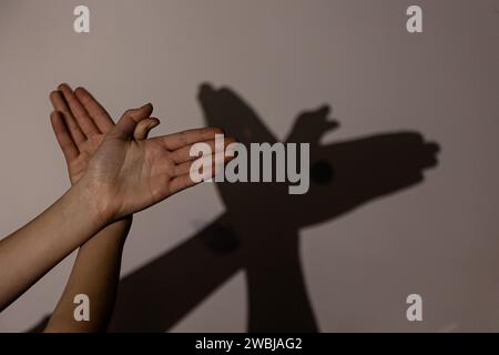 Mains d'enfant faisant l'oiseau sur le mur, ombres, jeu avec des ombres sur le mur Banque D'Images