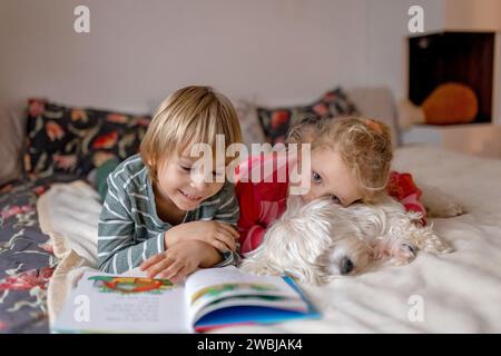 Deux enfants blonds mignons, garçon et fille, frères et sœurs et chien maltais, lisant le livre ensemble à la maison, la joie et le bonheur Banque D'Images