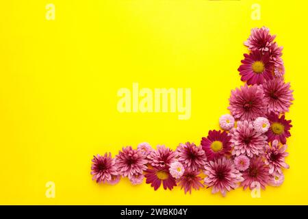 Fleurs roses sur fond de papier jaune. Composition florale. Photo verticale Banque D'Images