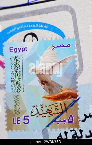 Le Caire, Egypte, janvier 10 2024 : le timbre-poste Martyr, timbre-poste martyr utilisé, République arabe d'Egypte, valeur de 5 livres égyptiennes LE pour le timbre, Banque D'Images