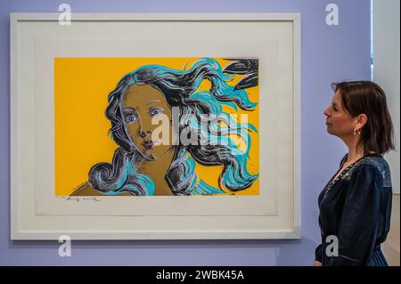 Londres, Royaume-Uni. 11 janvier 2024. Faits saillants de la vente aux enchères Evening & Day Editions de Phillips. Crédit : Guy Bell/Alamy Live News Banque D'Images