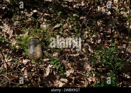 Déchets illégaux déversés dans la forêt en Allemagne, pot Mason jeté Banque D'Images