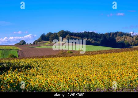 Arrière-pays de Dachau près de Bergkirchen, district de Dachau, Bavière, Allemagne Banque D'Images