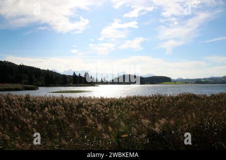 Illasbergsee devant les Alpes d'Ammergau, Halblech, Allgäu, Bavière, Allemagne Banque D'Images