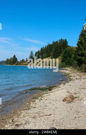 Été sur les rives du lac Forggensee, plage, Ostallgäu, Allgäu, Souabe, Bavière, Allemagne du Sud, Allemagne, Europe Banque D'Images