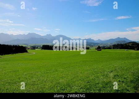 Prairie près de Rieden am Forggensee, Ostallgäu, Allgäu, Bavière, Allemagne, Europe Banque D'Images